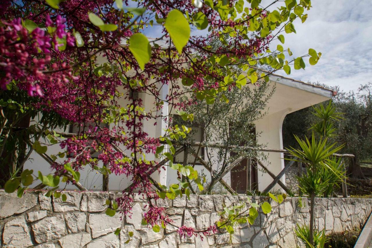 Village Valle D'Oro Aparthotel 산 메나이오 외부 사진