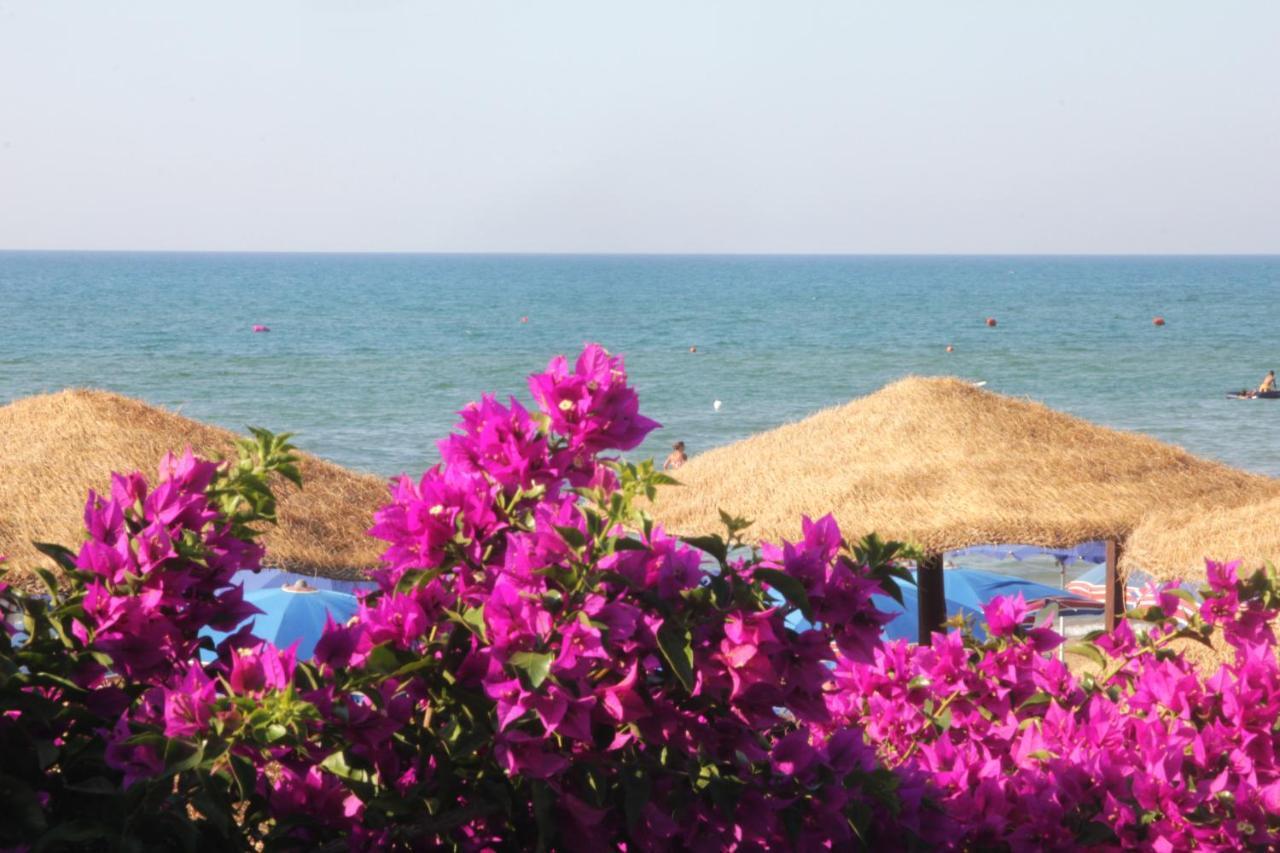Village Valle D'Oro Aparthotel 산 메나이오 외부 사진
